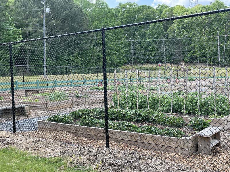 chain link fence DeKalb County Georgia